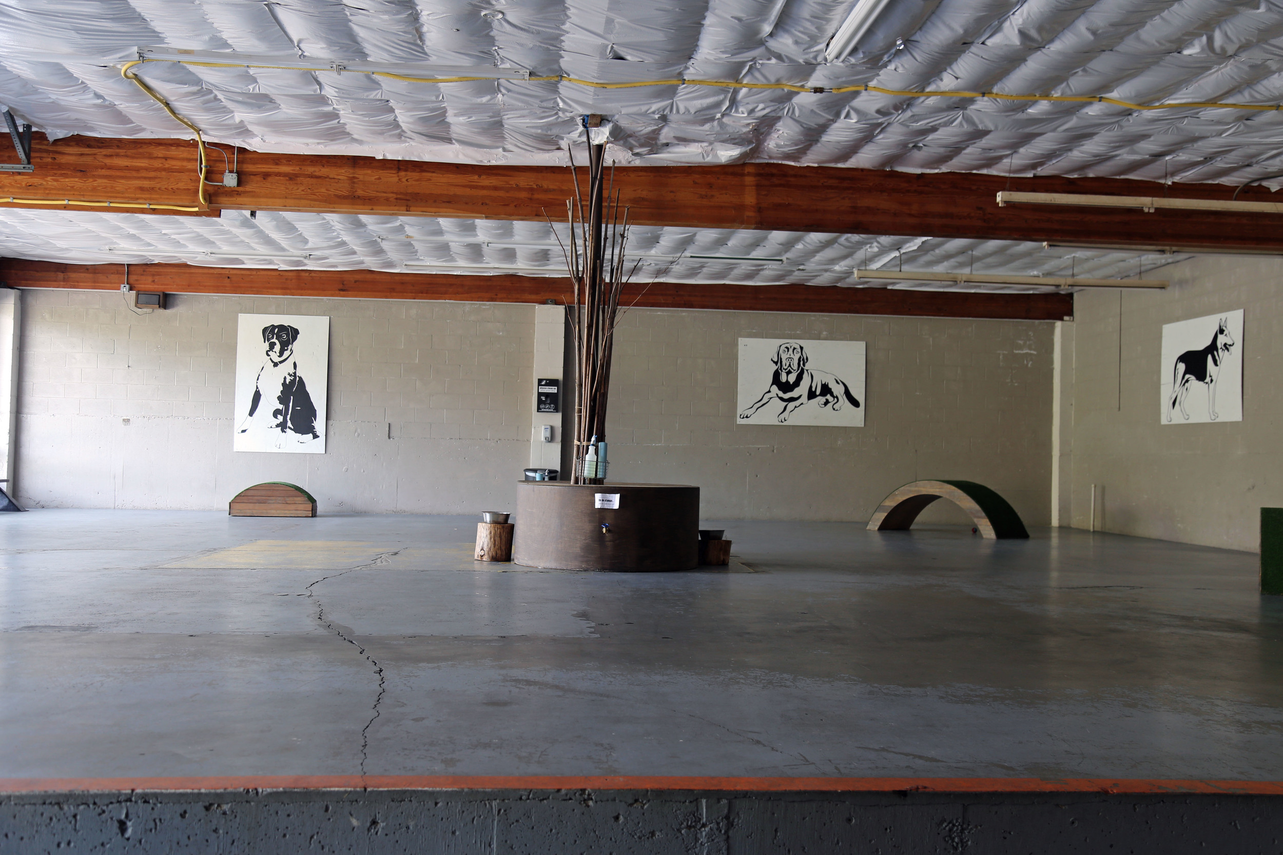 Dogwood is an indoor dog park making it perfect for those rainy and cold days.