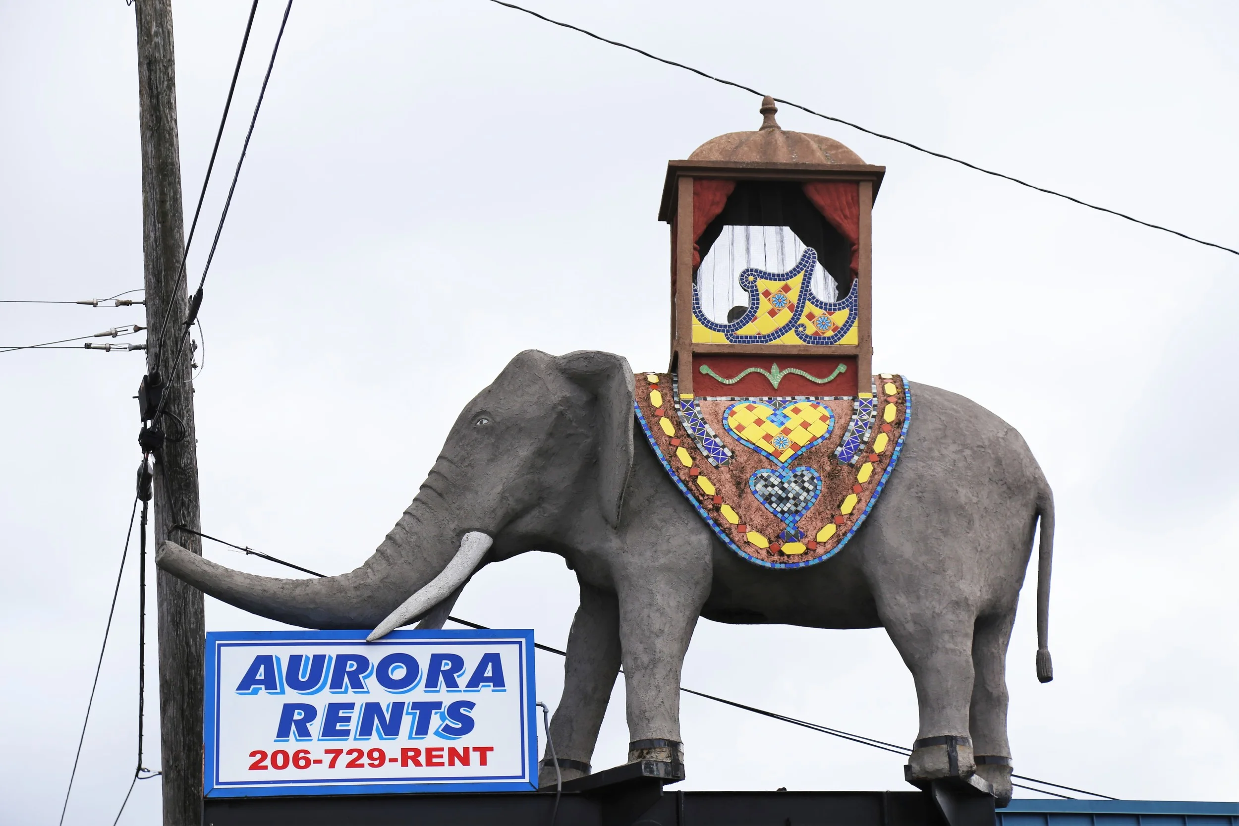 The crazy Aurora elephant