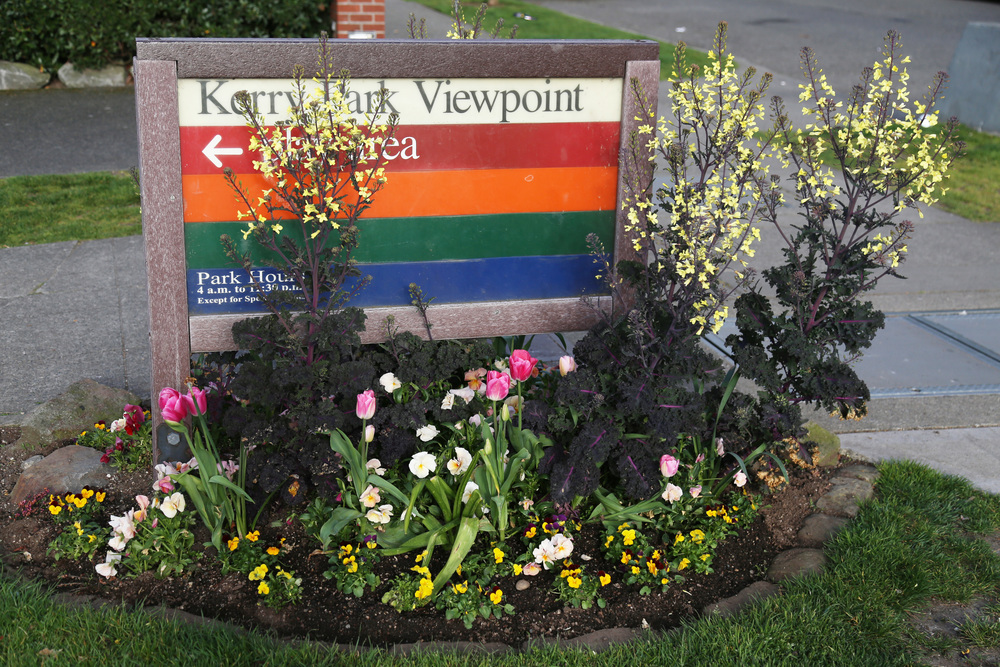 You can always identify Seattle parks by these colorful signs!&nbsp;