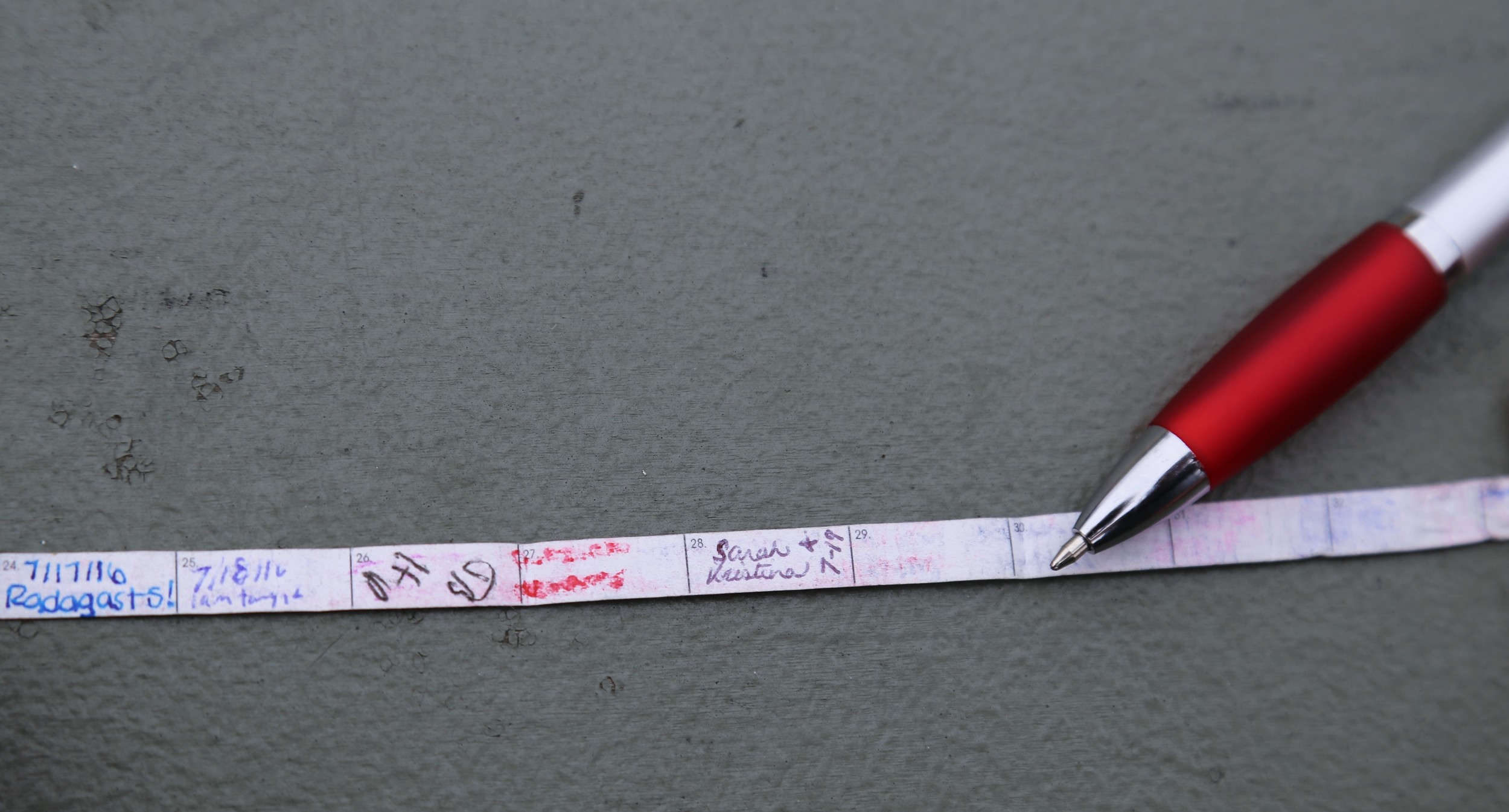 Sign the cache (sometimes you need to bring your own pen)