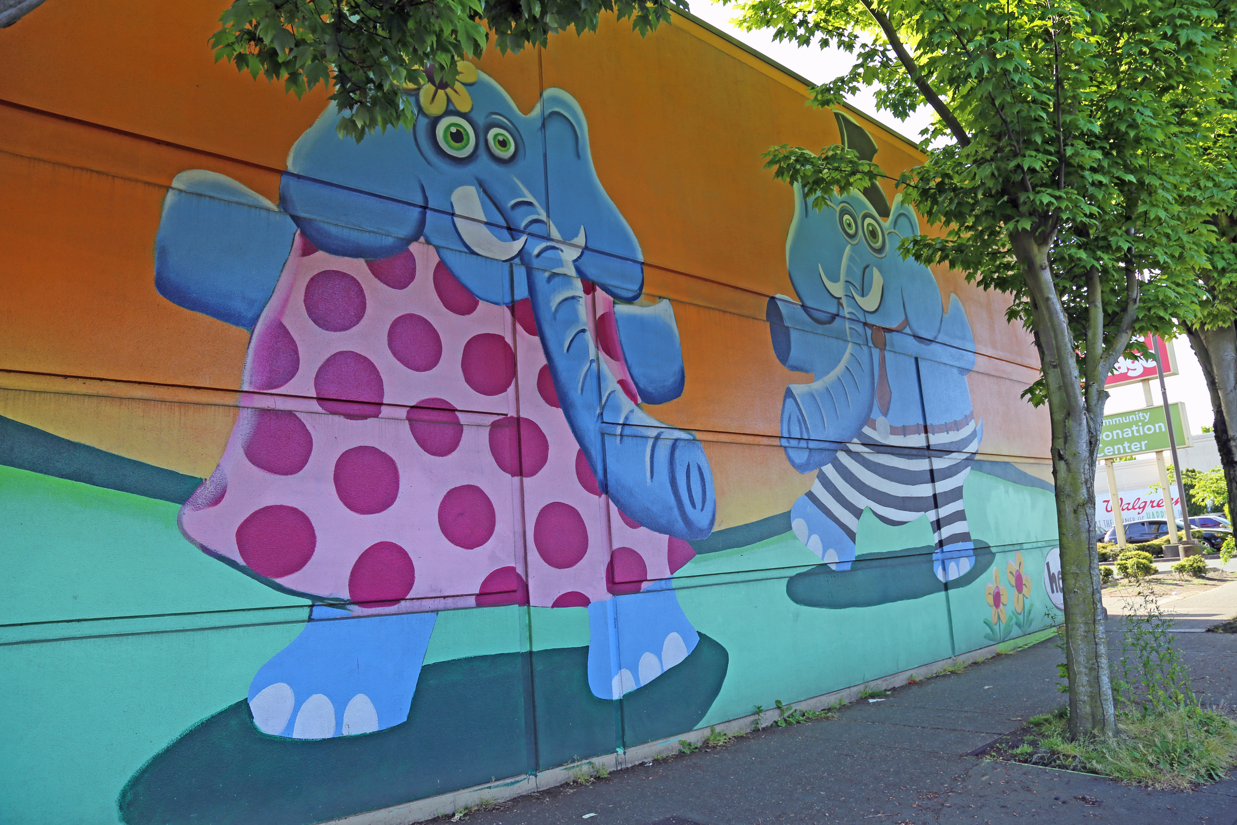 Elephants found at Value Village at  8532 15th Ave. NW