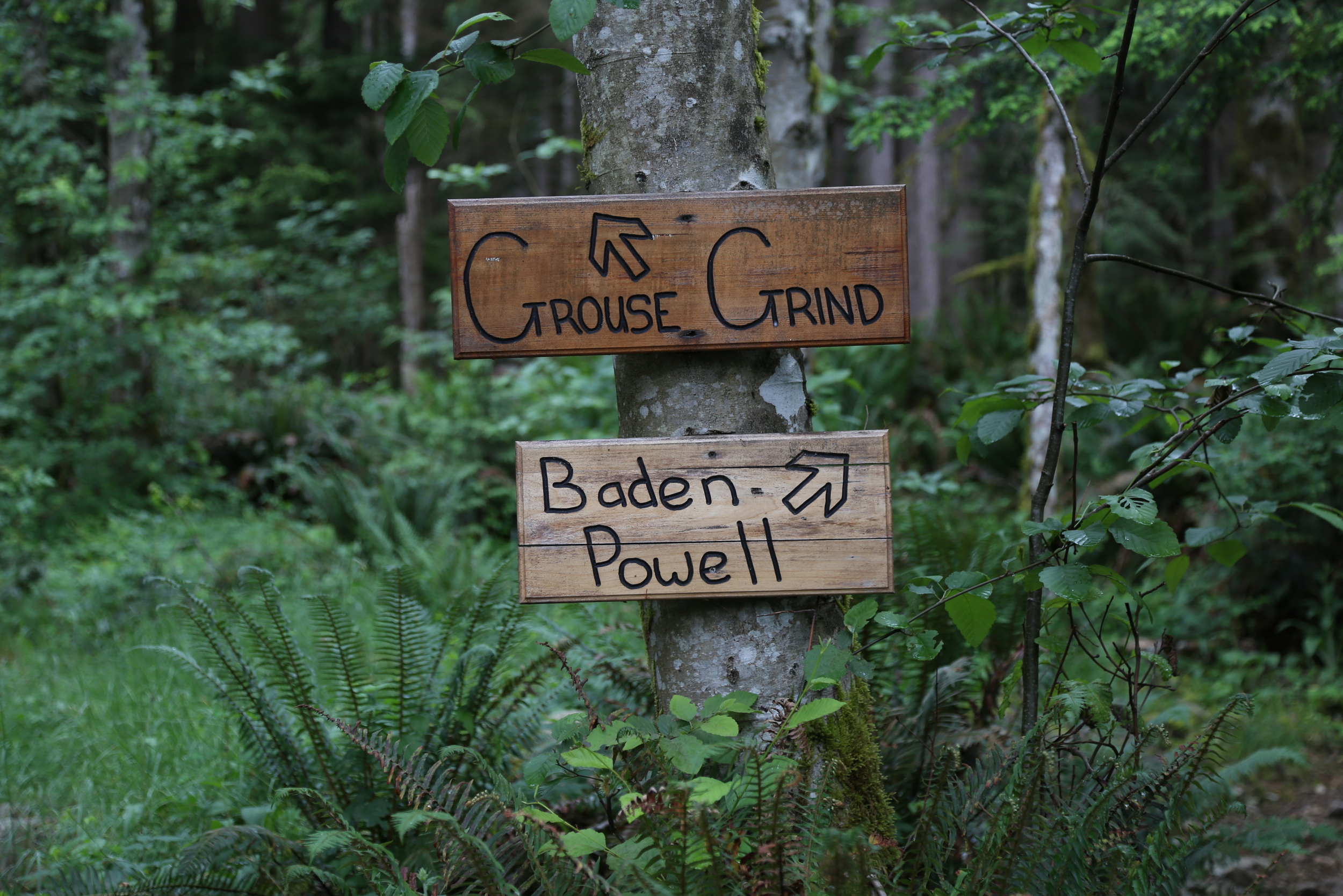 Grouse Grind: That Time Our Legs Stopped Working
