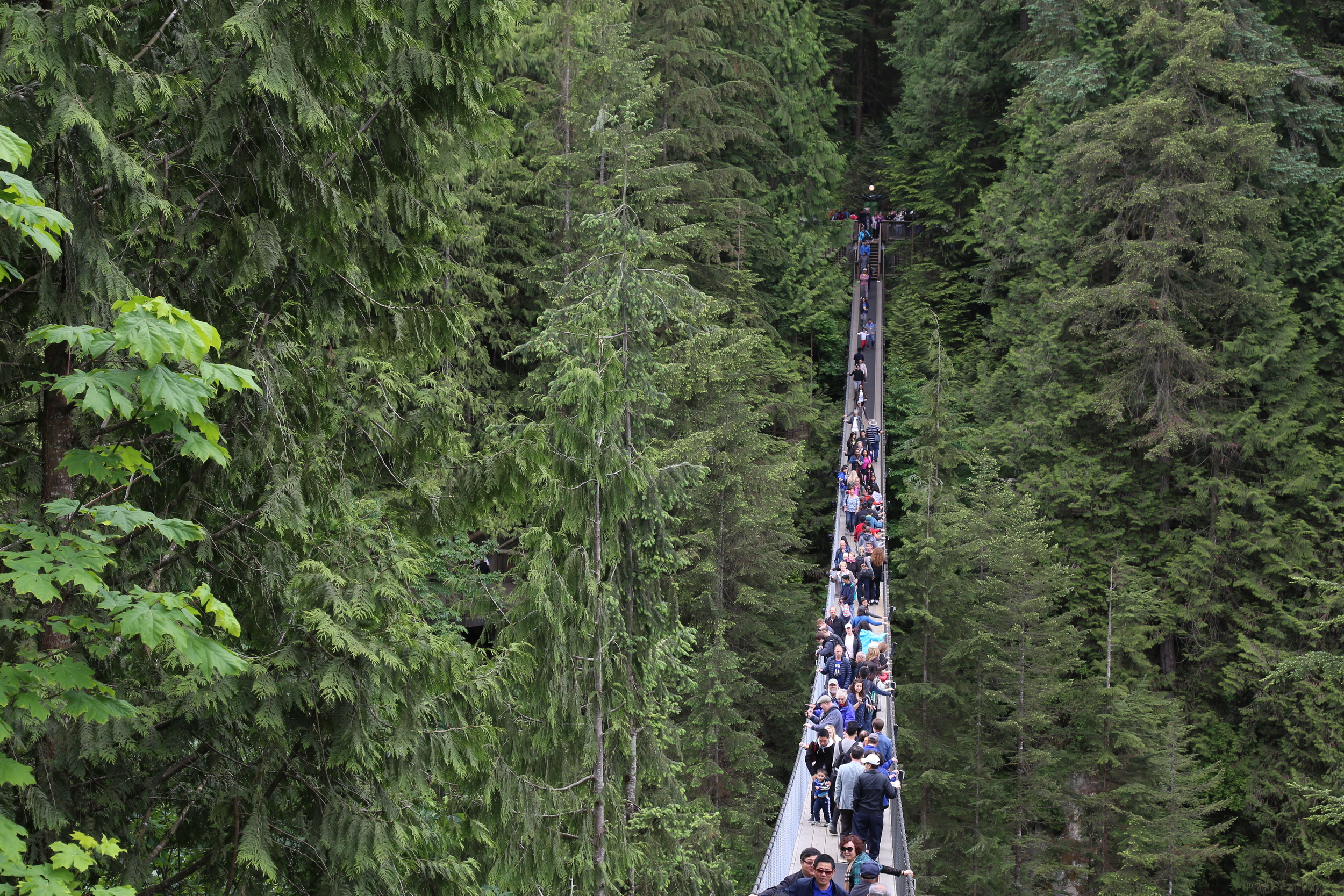 Capilano Suspension Bridge Park