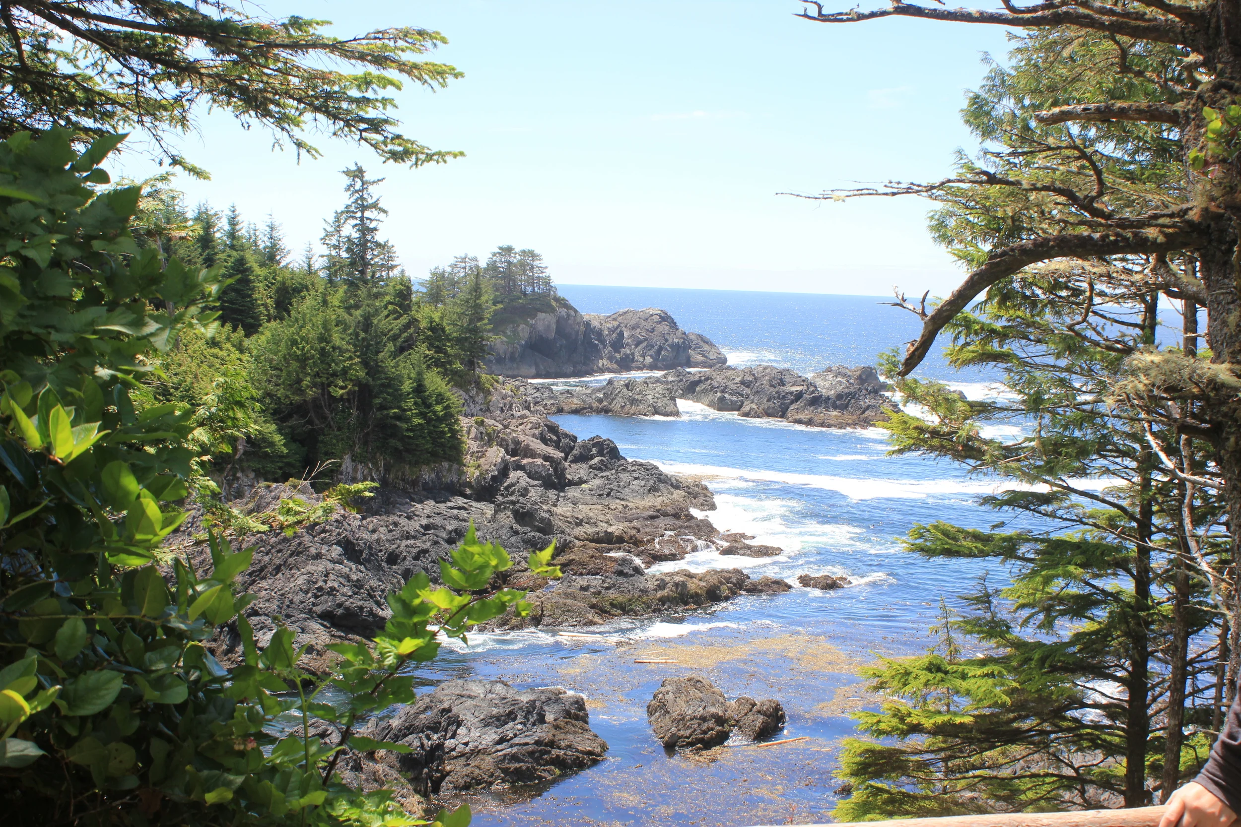 48 Hours in Tofino, B.C.