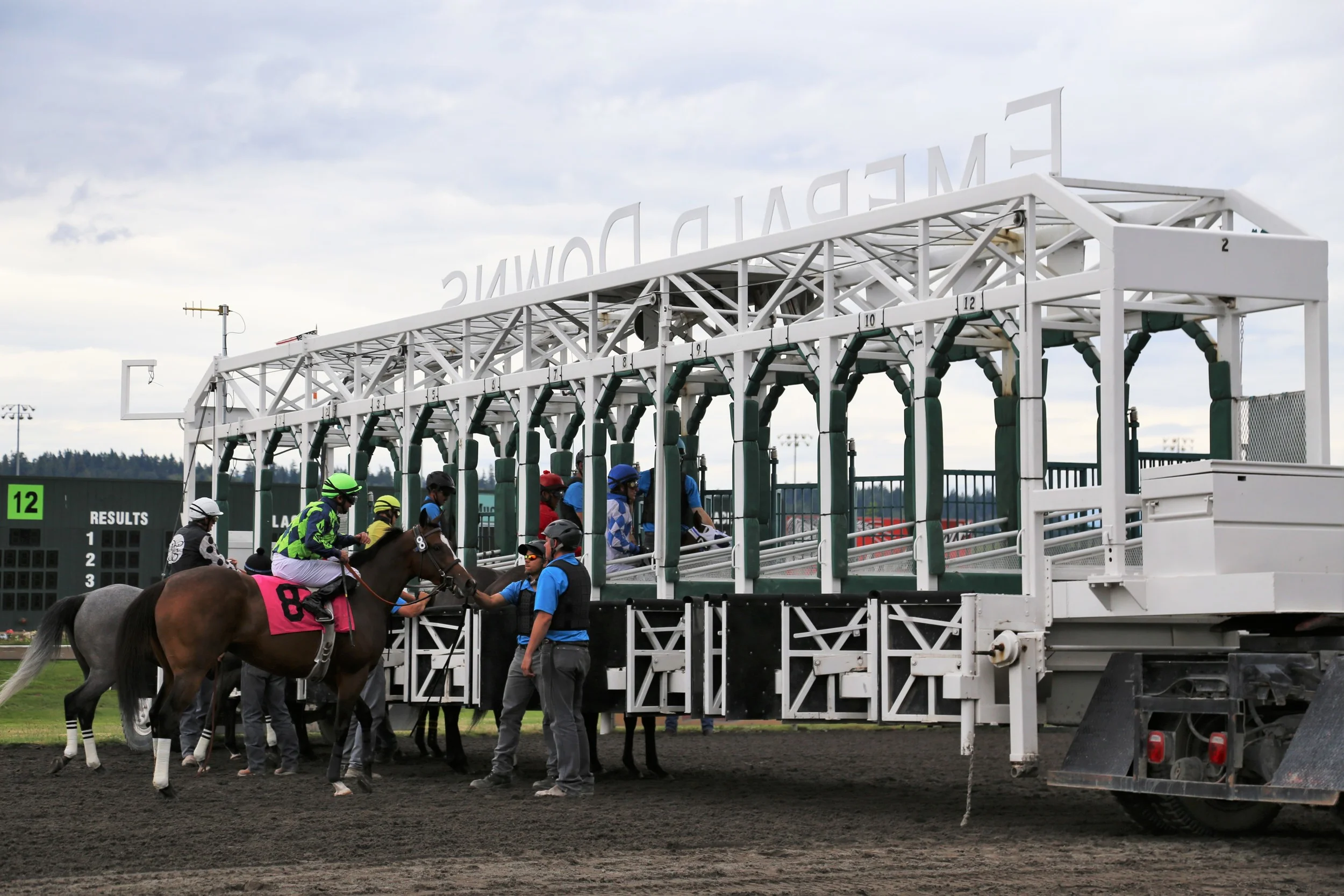 Emerald Downs + Horse Racing 101