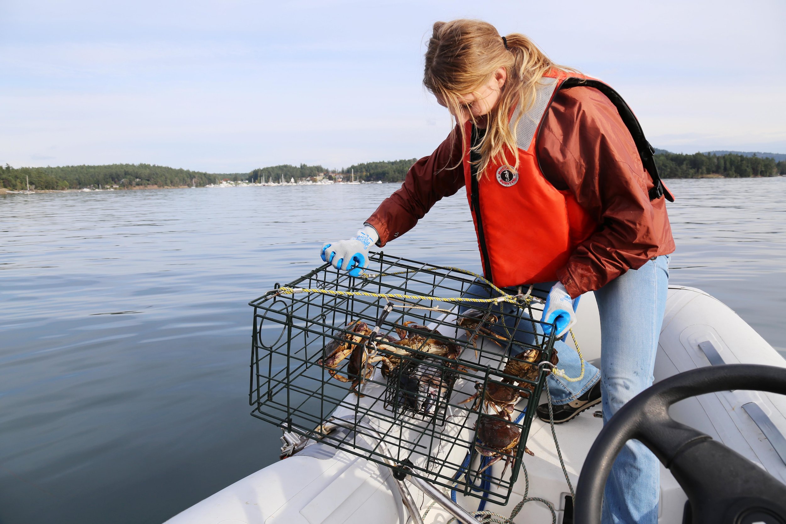 Crabbing 101