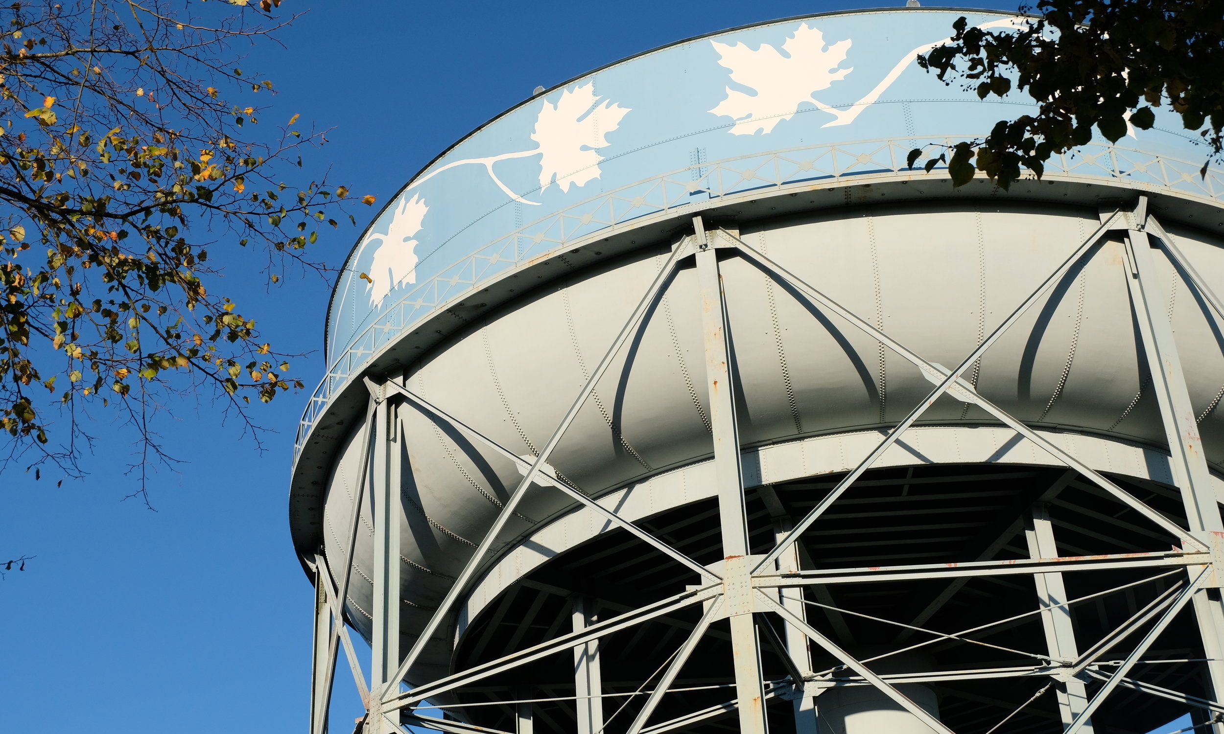 Neighborhood Guide: Maple Leaf 