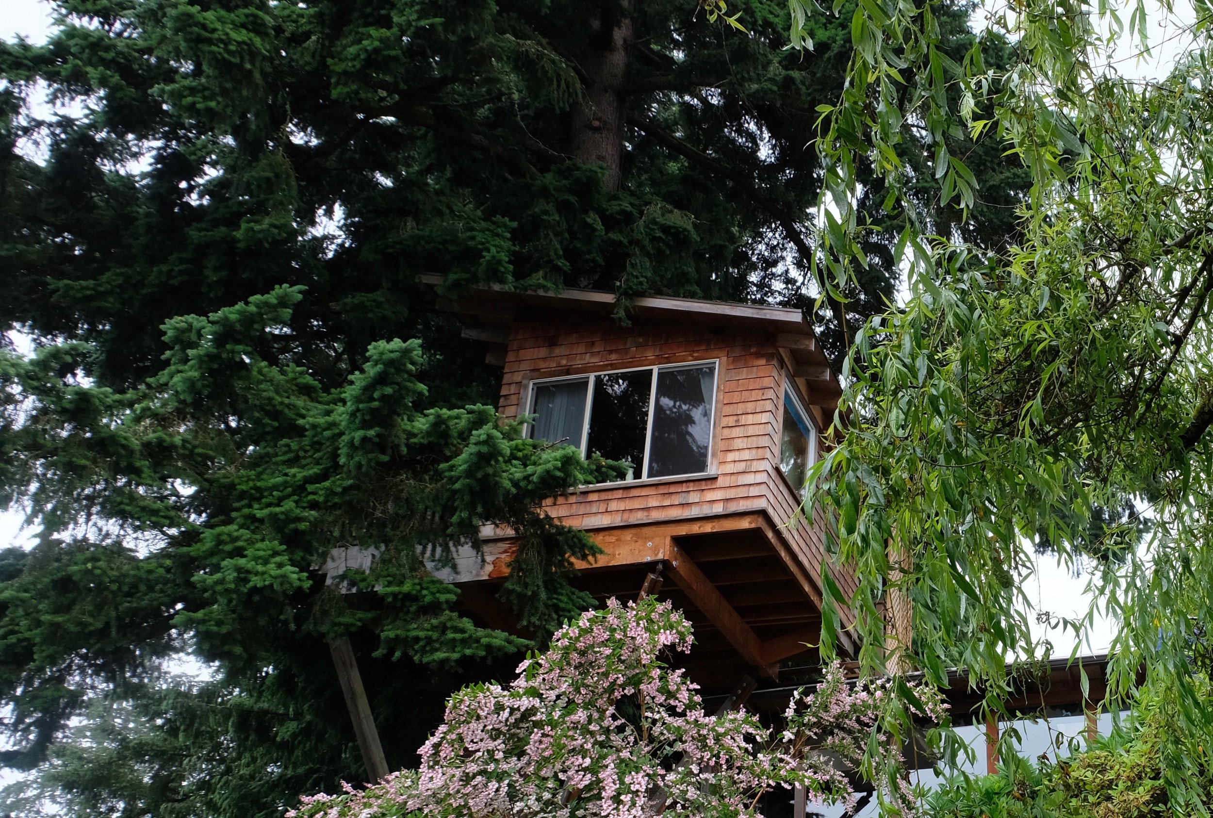 Treetop Travel: A Weekend in Woodinville's Treehouse Bed and Breakfast