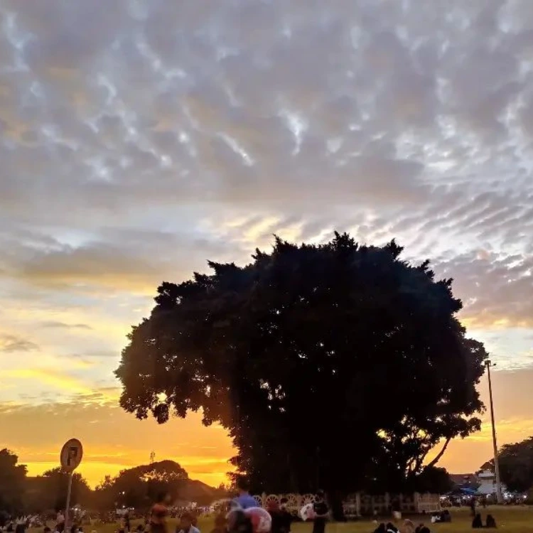 alun alun selatan jogja